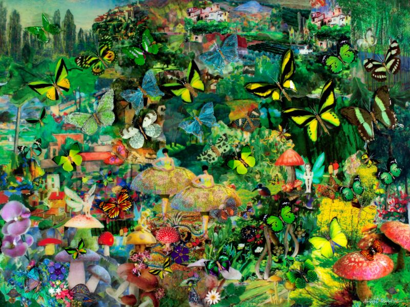 Mushroom Dancers in a Butterfly Forest by Robert Swedroe