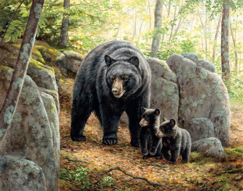 Northwoods Springtime—Black Bears by Rosemary Millette