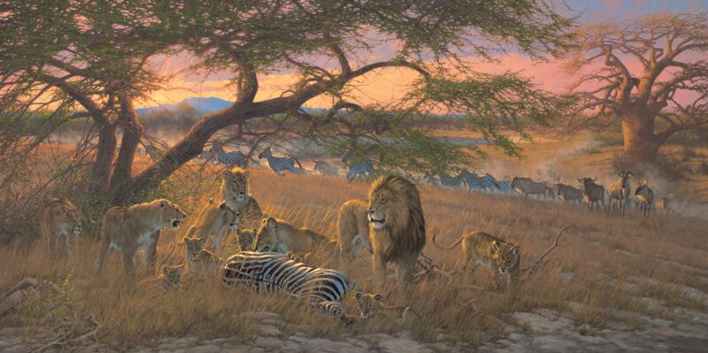 Nyumba Ya Simba by Michael Sieve