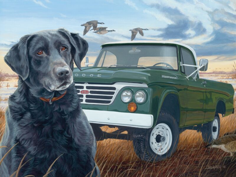 Old Dependable—Black Lab