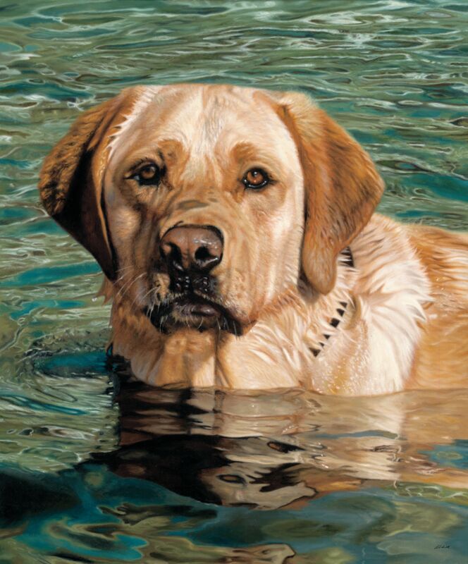 On the Job—Yellow Lab by John Aldrich