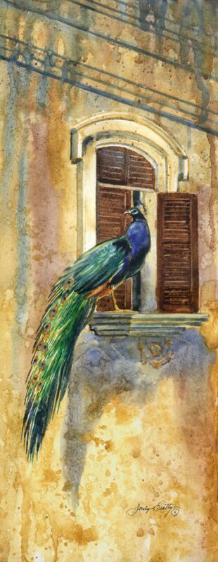 On the Ledge—Peacock by Jocelyn Beatty