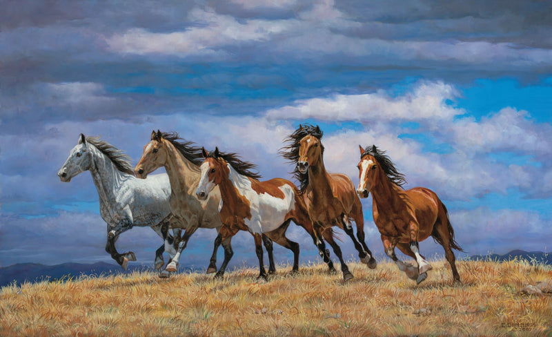 Over the Top - Horses by Chris Cummings