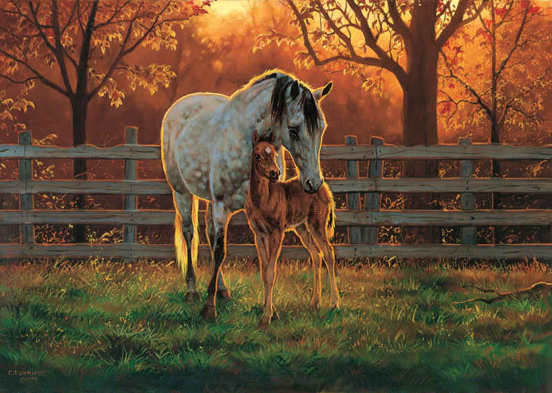 Quiet Time - Quarter Horse by Chris Cummings