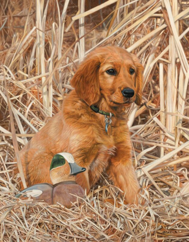 Reporting for Duty - Golden Retriever Widgeon Decoy