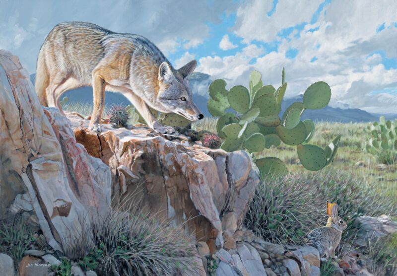 Scared Stiff—Coyote and Rabbit