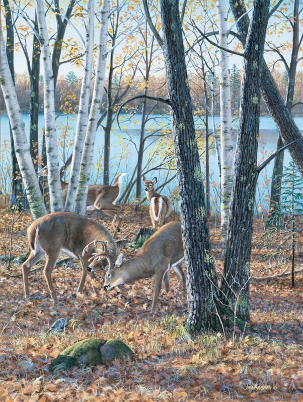 Seasons of the Woods - Confrontation