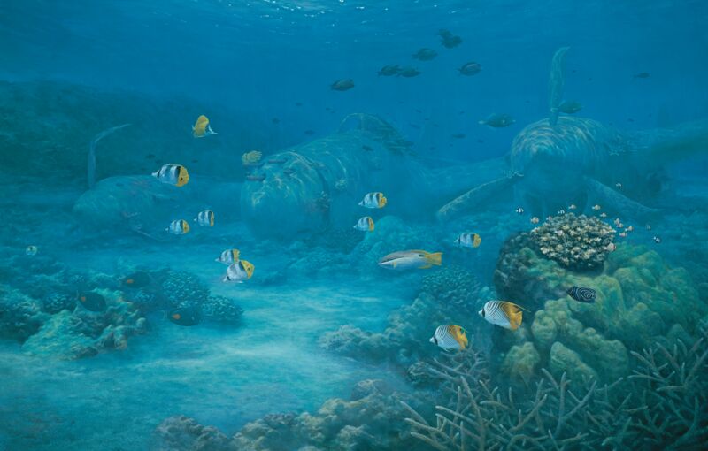 Shallow Water Lightning