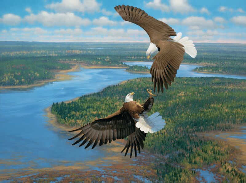 Sky Dancers-Bald Eagles