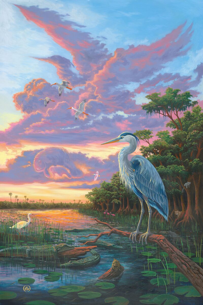 Spirit of the Everglades