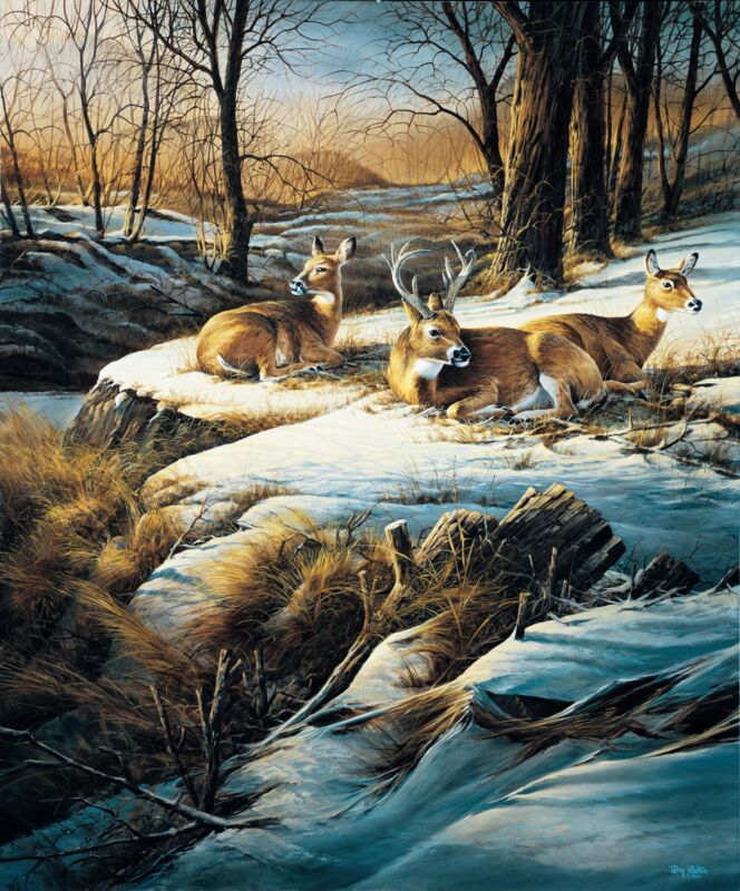 Sunny Afternoon—Deer