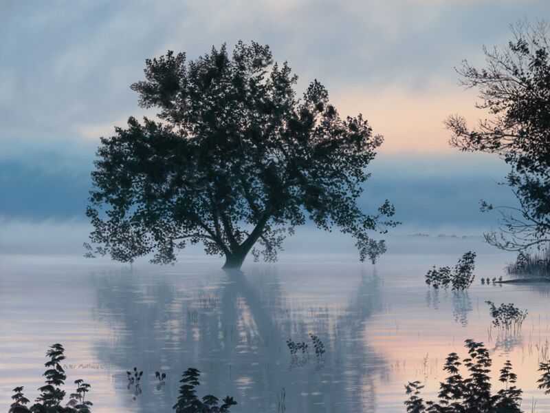 Sunrise Reflections