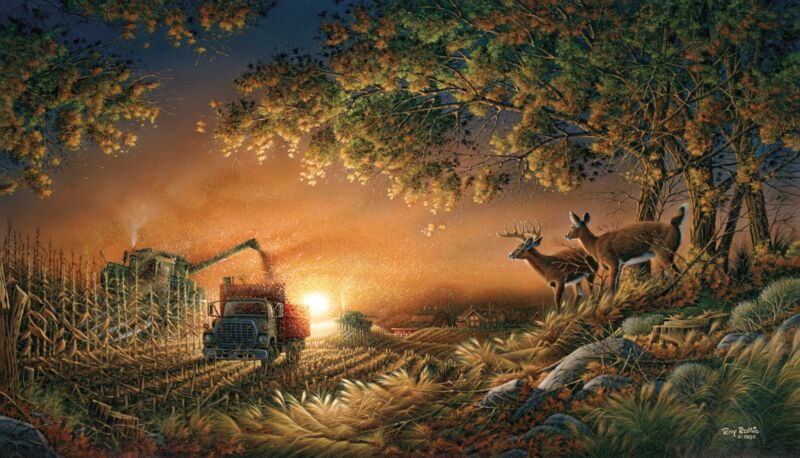 Sunset_Harvest.jpg?v=