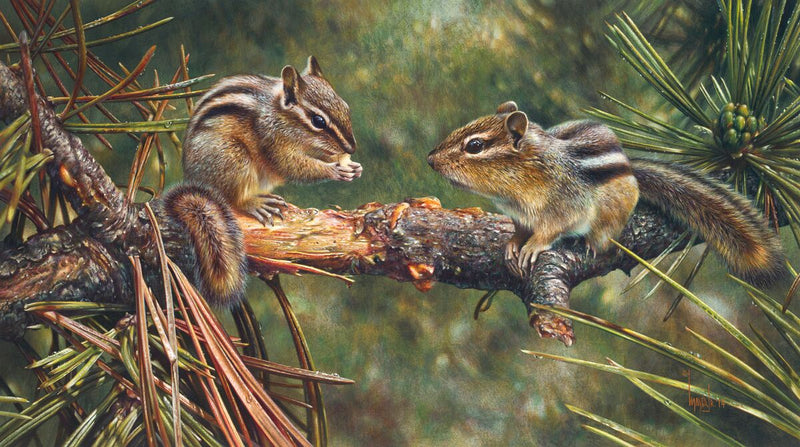 Twin Foragers