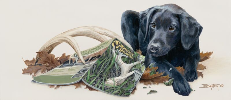 Tailer Made - Black Lab Puppy