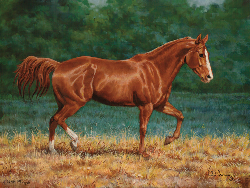 That's My Horse—Quarter Horse—Sorrel
