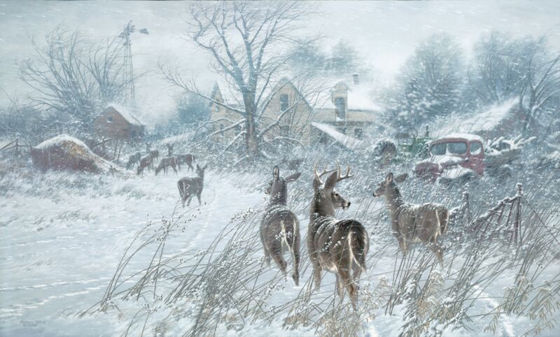 The Homesteaders—Whitetail Deer