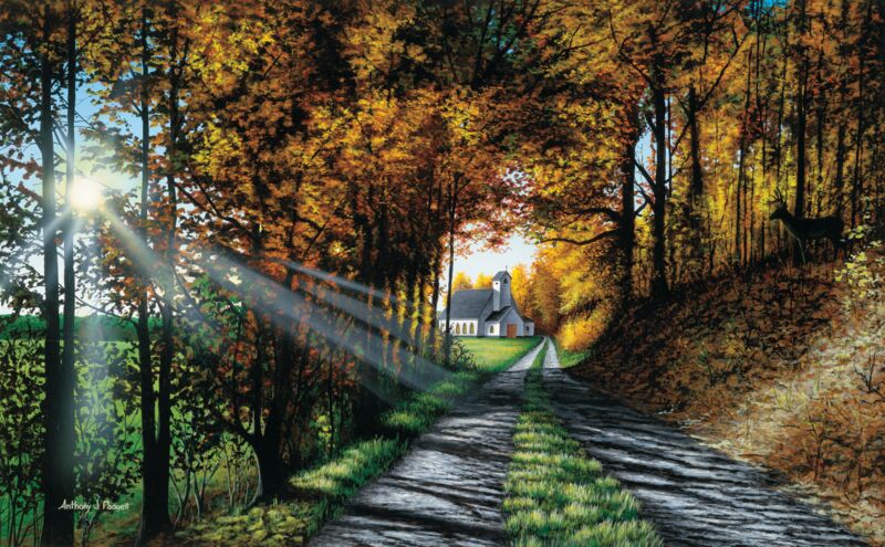 The Roads We Choose