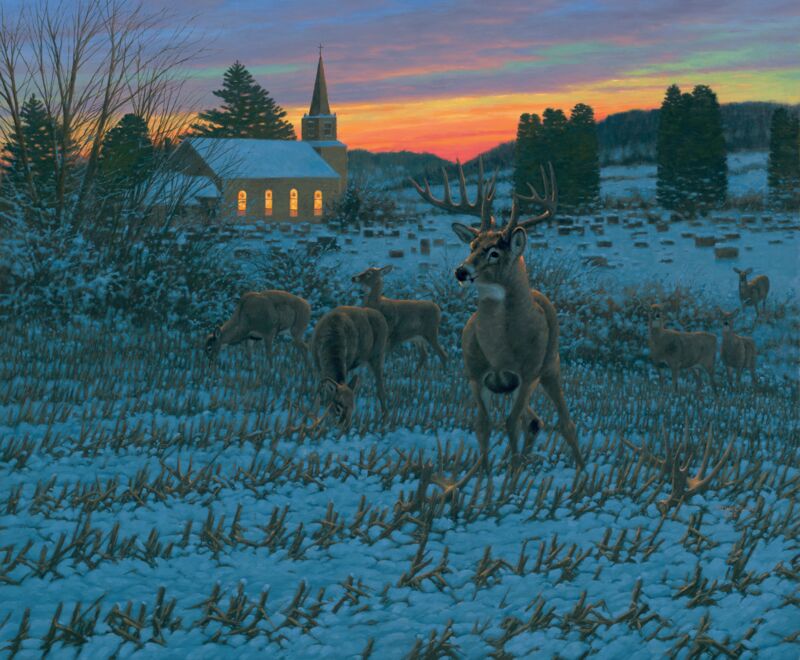 The Stone Church Buck - Whitetail Deer