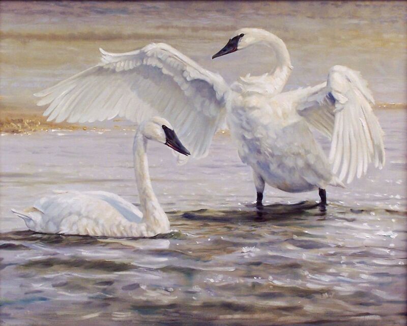 The Trumpets of Yellowstone