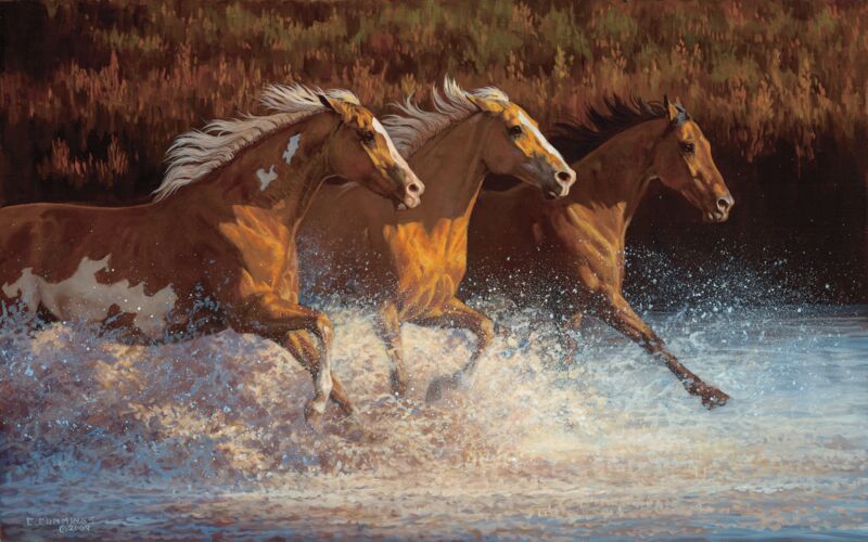 Thundering Water—Horses