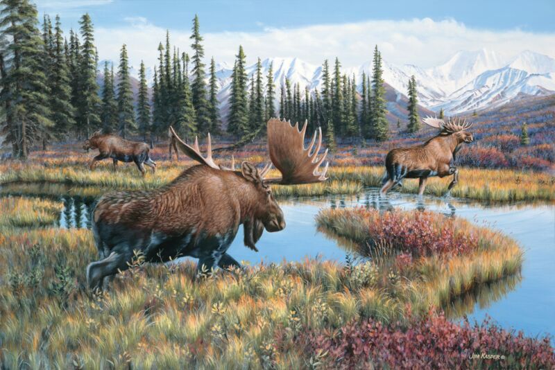 Time to Get-Moose