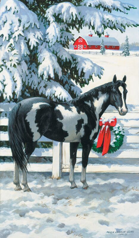 Unbridled Beauty