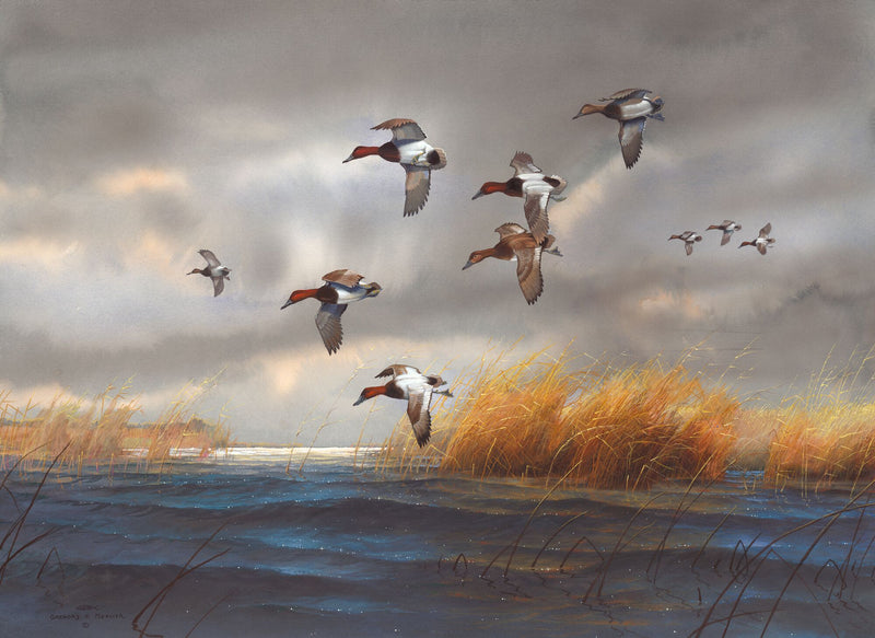 Watering Cans by Greg Messier