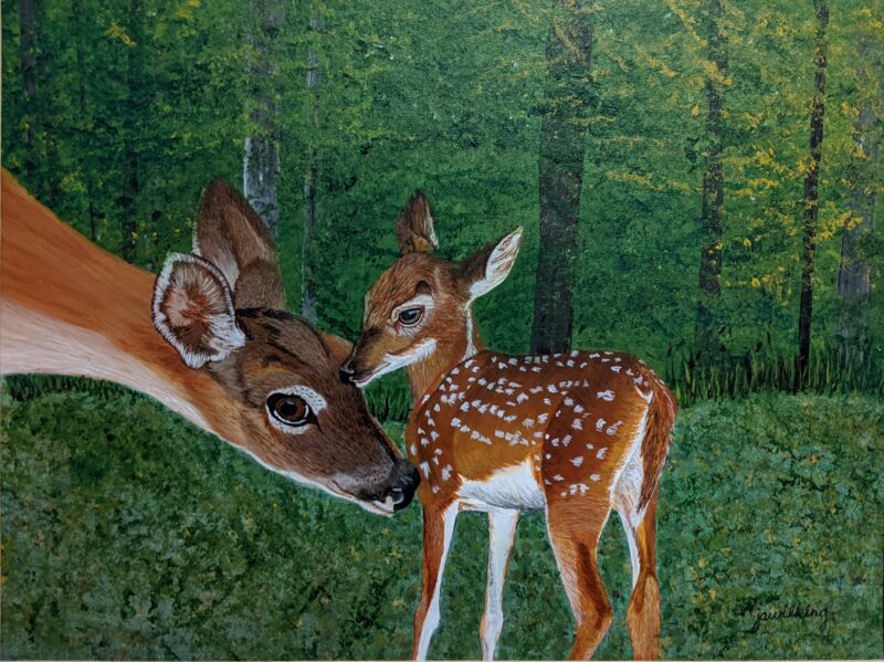 White Tailed Deer Doe Nurtures Fawn in Field