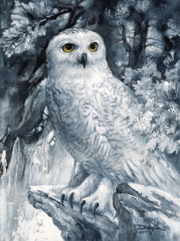Wintertime—Snowy Owl