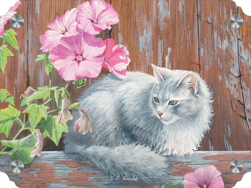 In the Pink Cat
