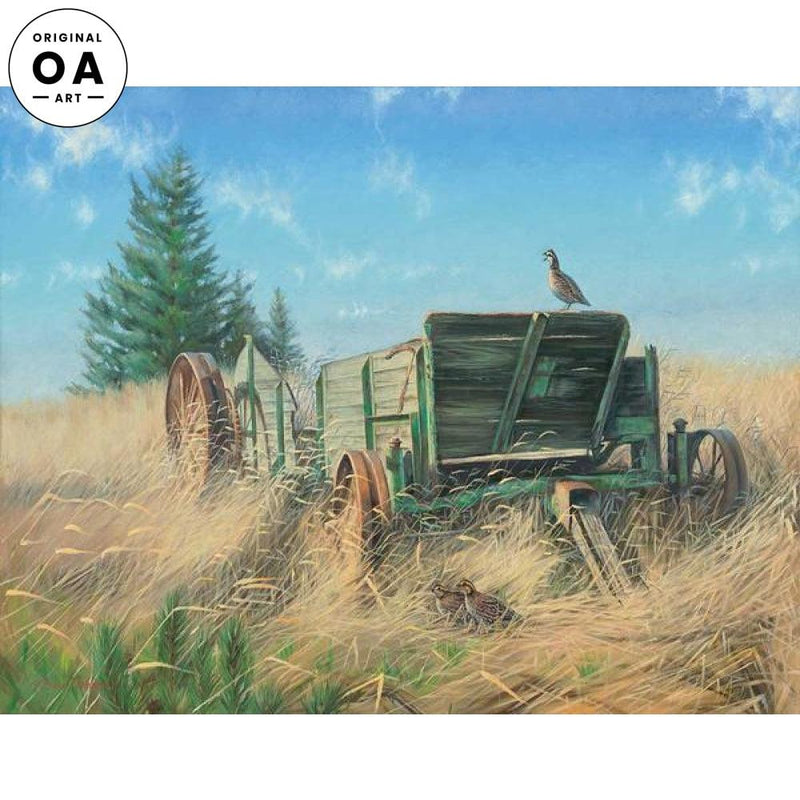 Remnants — Bobwhite Quail