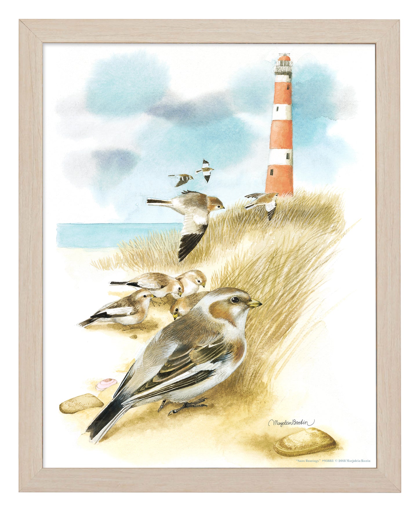 Snow Buntings - Art Prints