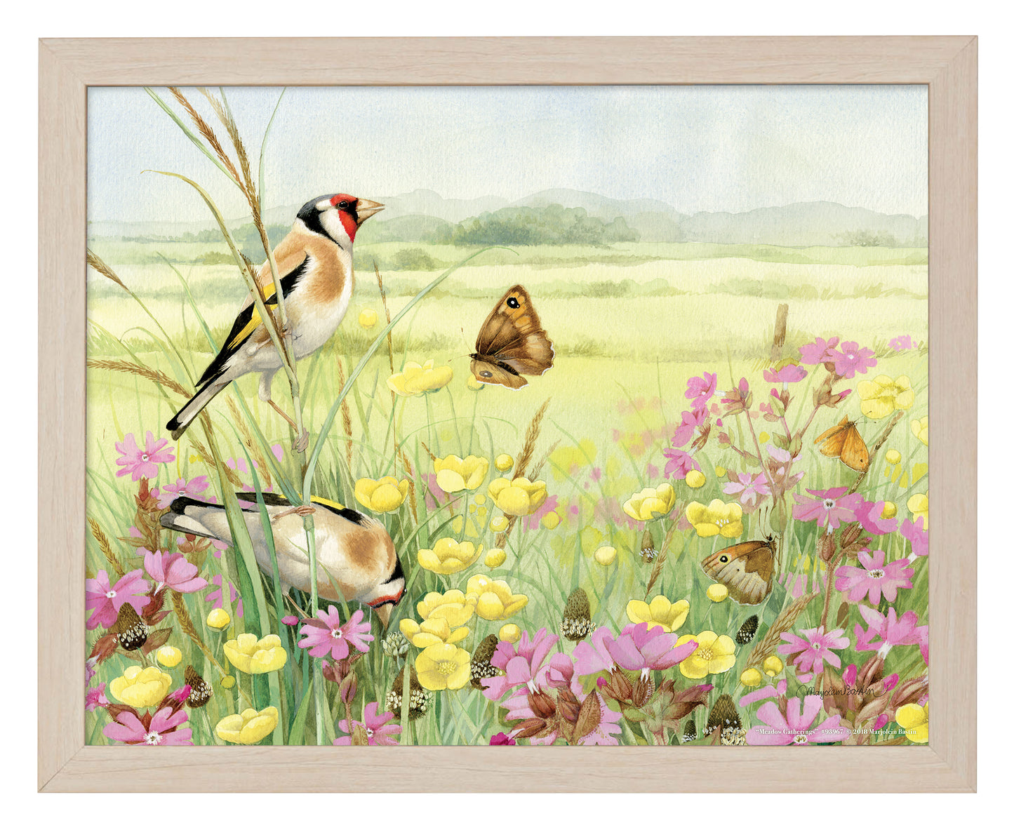 Meadow Gatherings - Art Prints