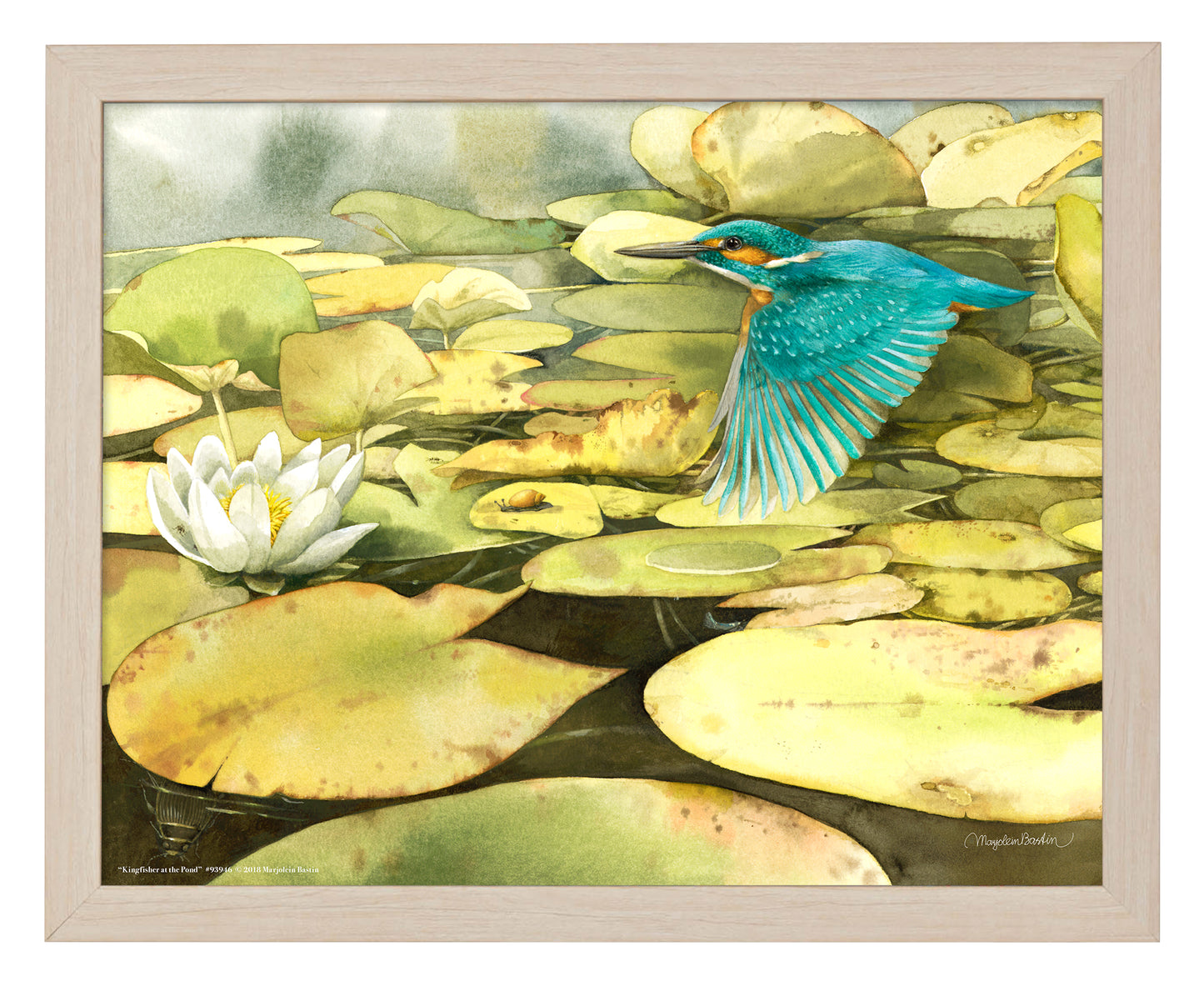 Kingfisher at the Pond - Art Prints