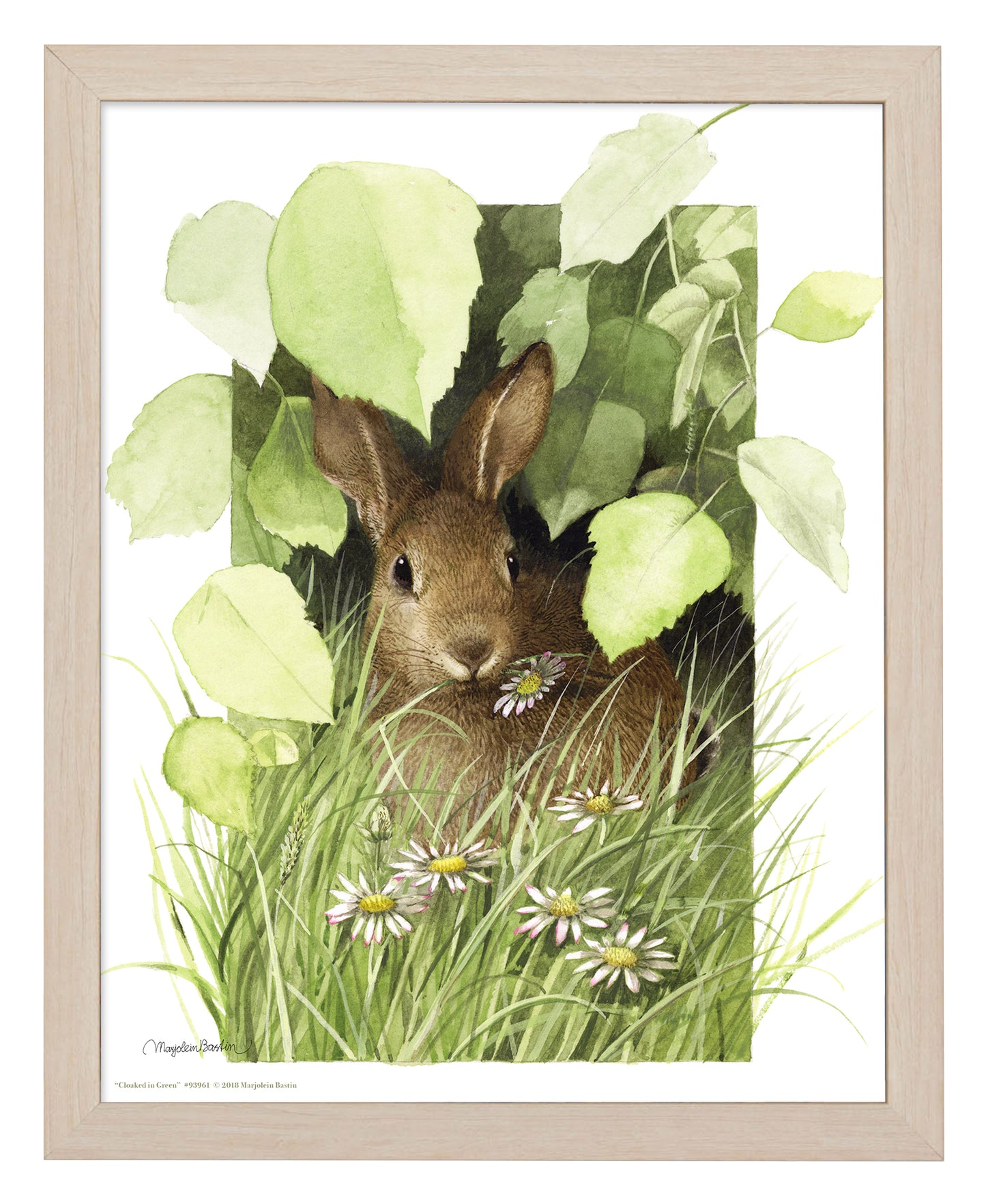 Cloaked in Green - Art Prints