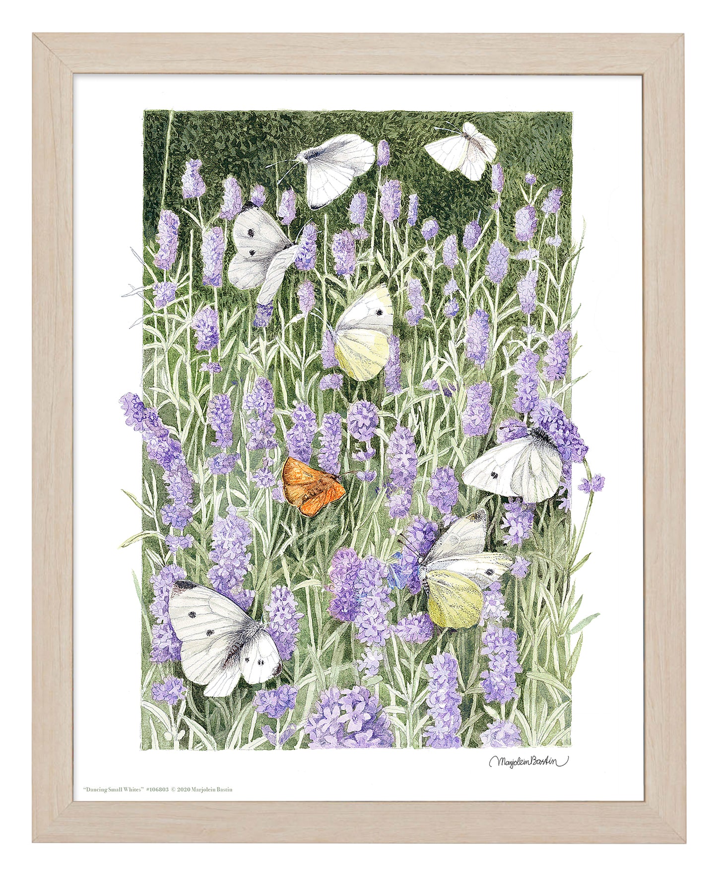 Dancing Small Whites - Art Prints