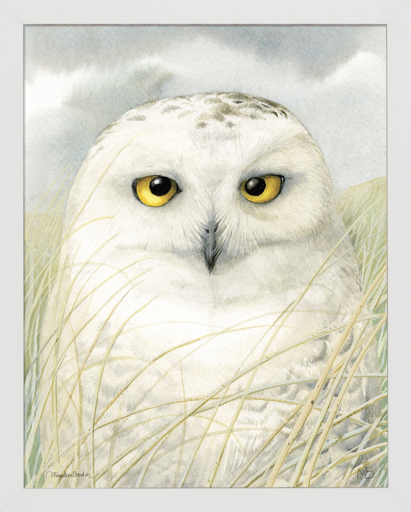 Snowy Owl Wisdom - Art Prints