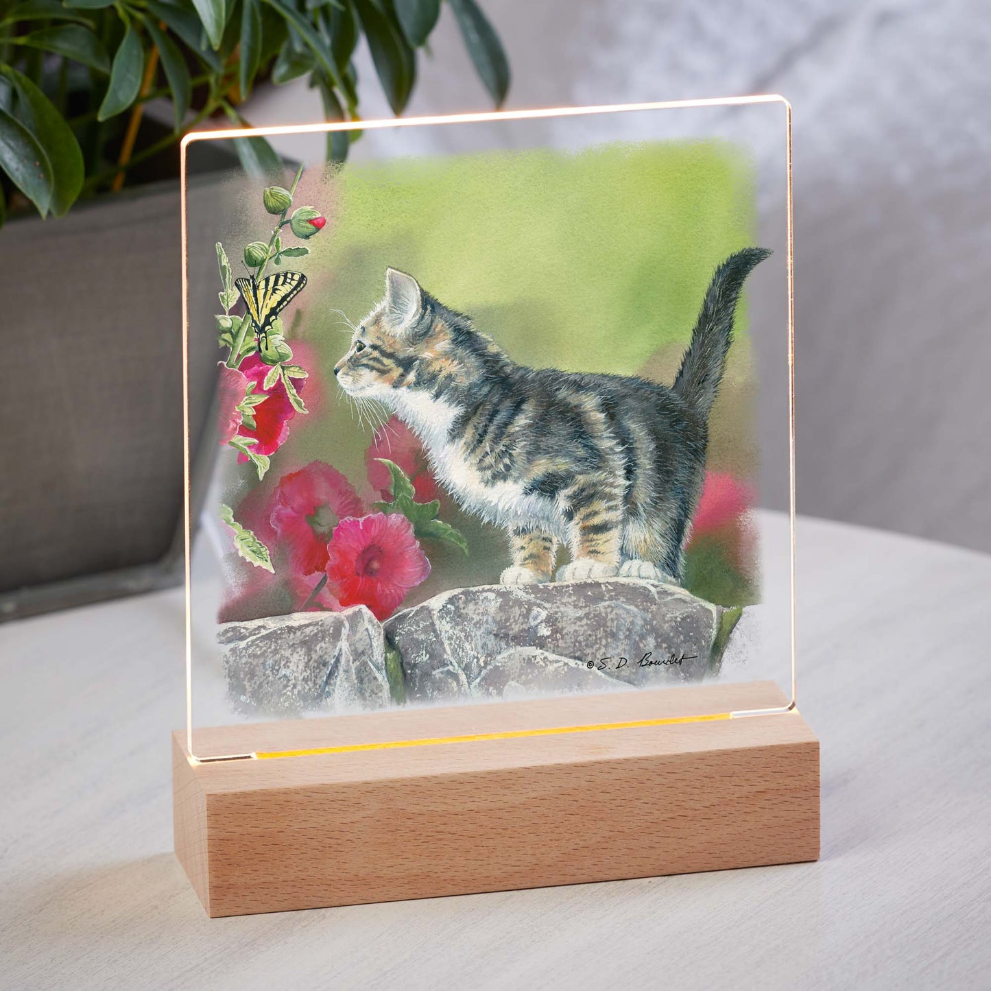 Chasing Butterflies - Acrylic Night Light