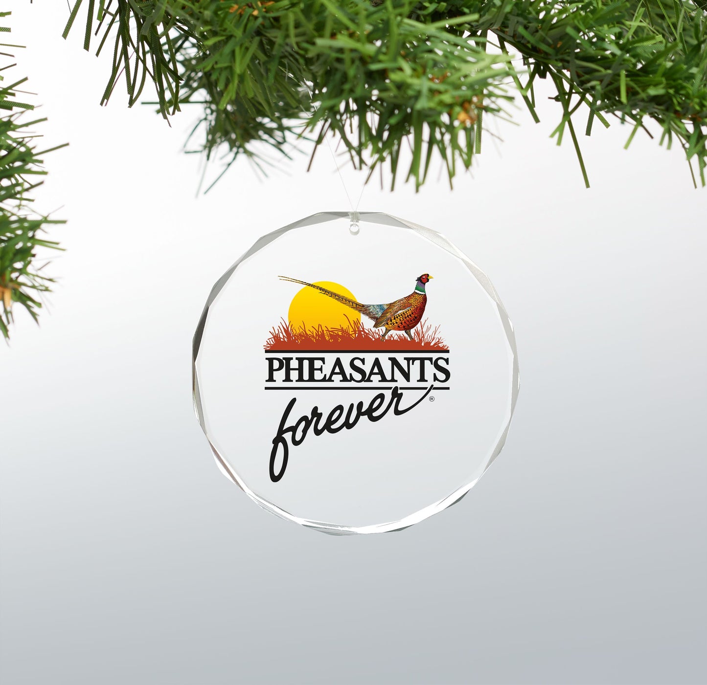 Pheasants Forever 3" Round Glass Ornament