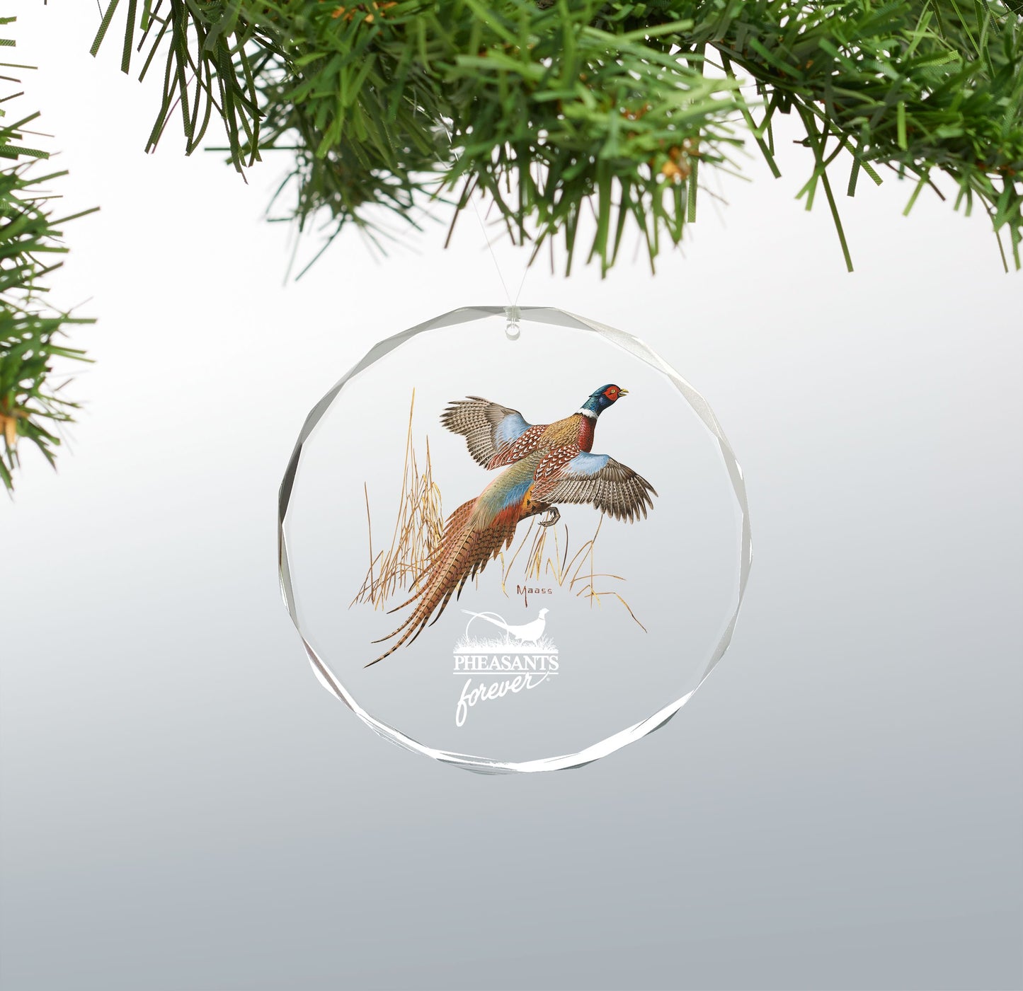 Pheasants Forever - 3" Round Glass Ornament