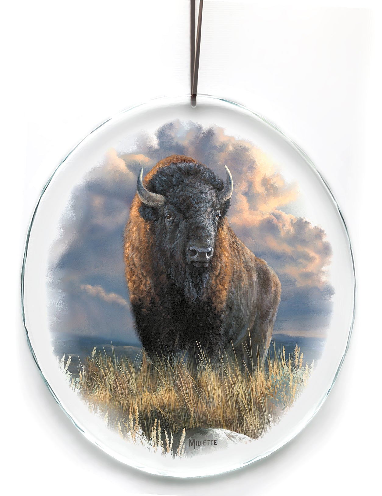 Distant Thunder-Bison - Suncatcher