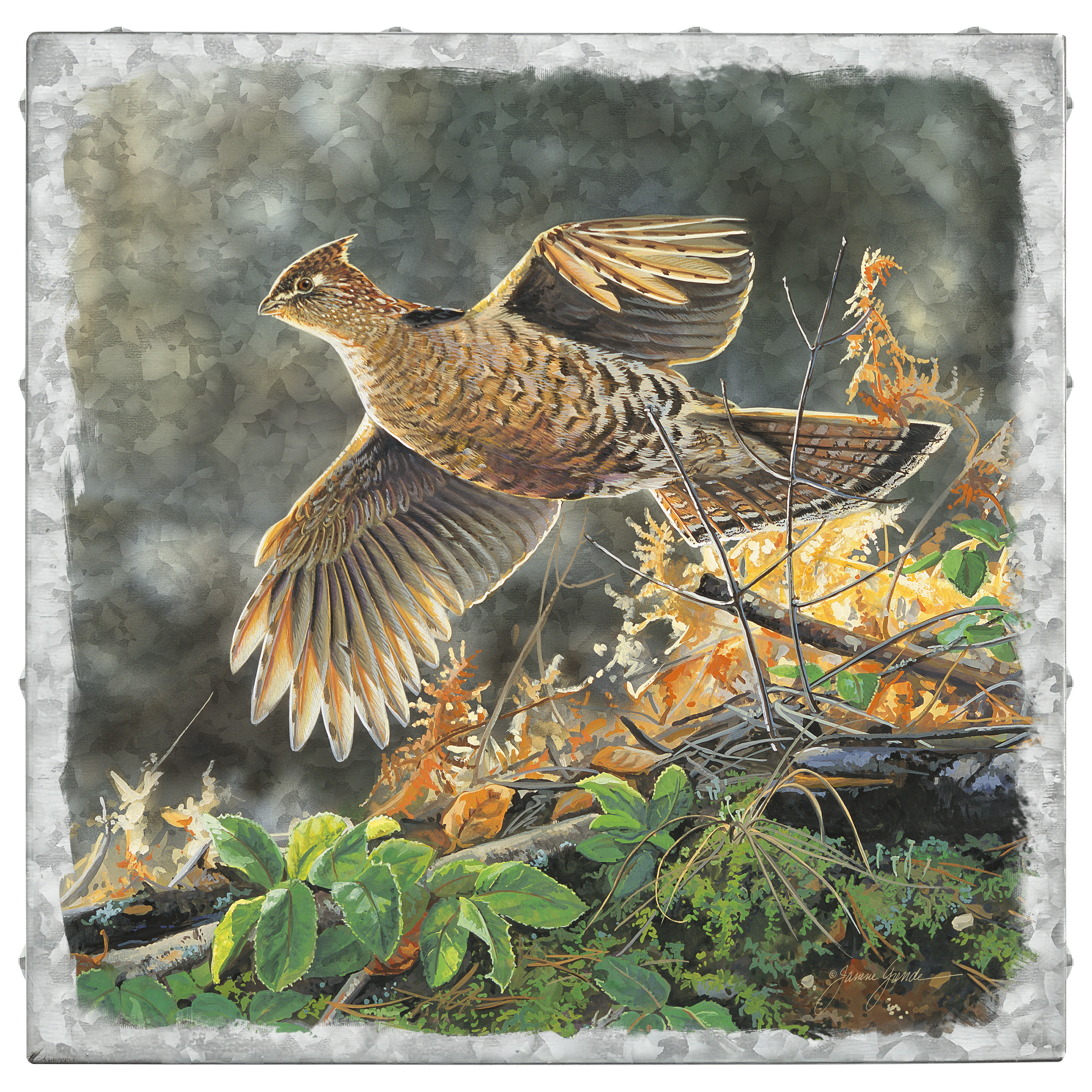 Fast and Furious-Ruffed Grouse - 14 Fast and Furious-Ruffed Grouse - 14