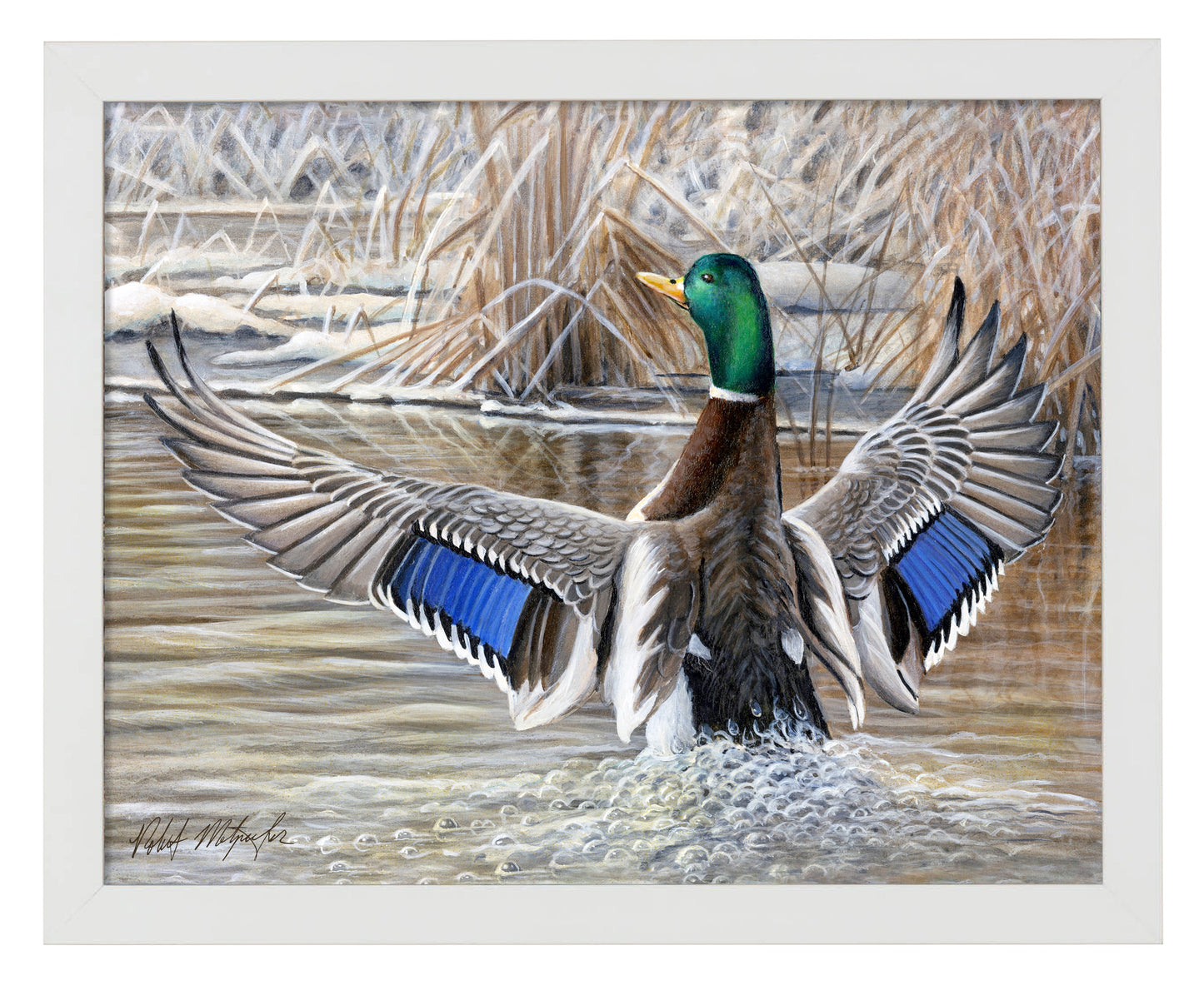 154414_Cold Stretch_11x14_White_FRA.jpg