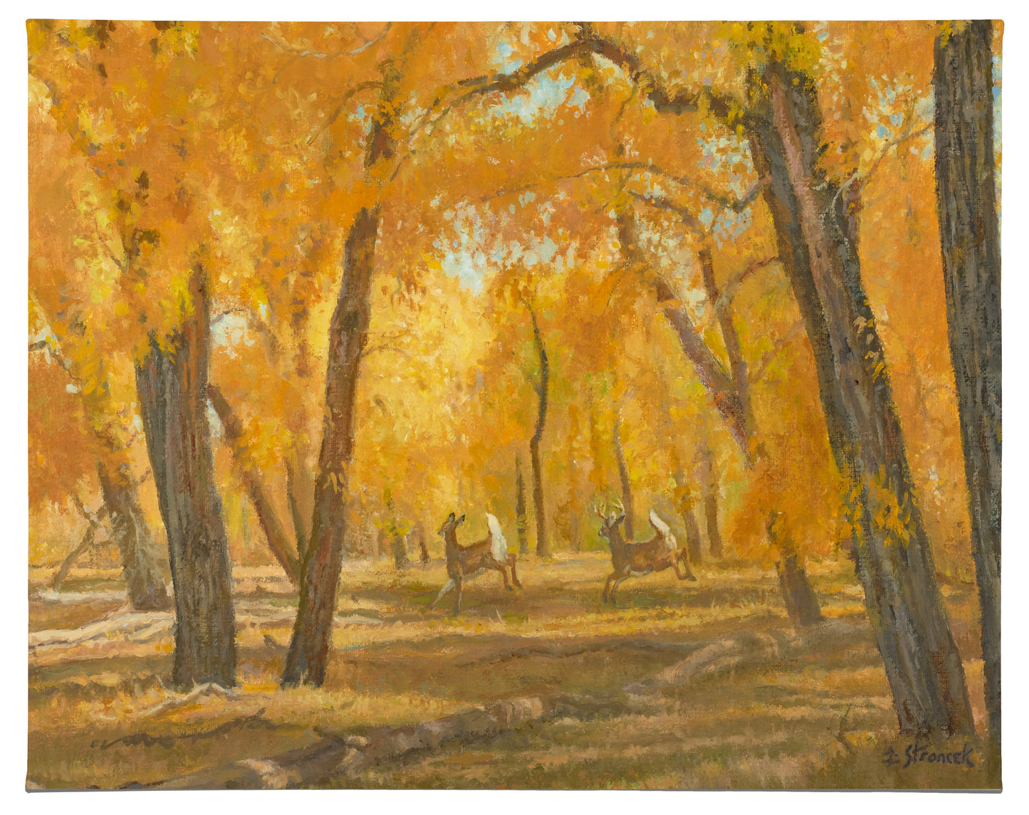 154415_Through the Cottonwoods_13x18_F_CGW.jpg