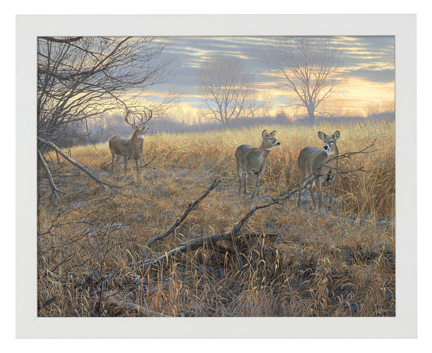 154456_Scrapeline Monarch_11x14_FRA_White_102641.jpg