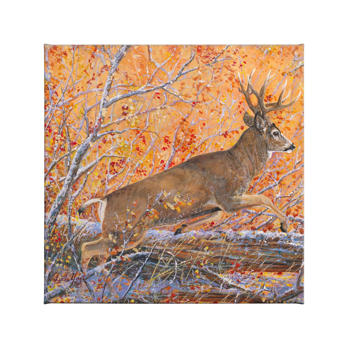 154527_Bustin Cover_14x14_F_CGW.jpg