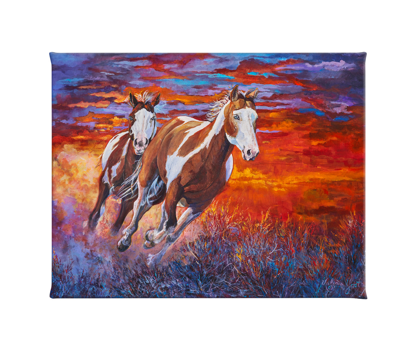 Sky Fire - 16 x 20.5 Gallery Wrapped Canvas