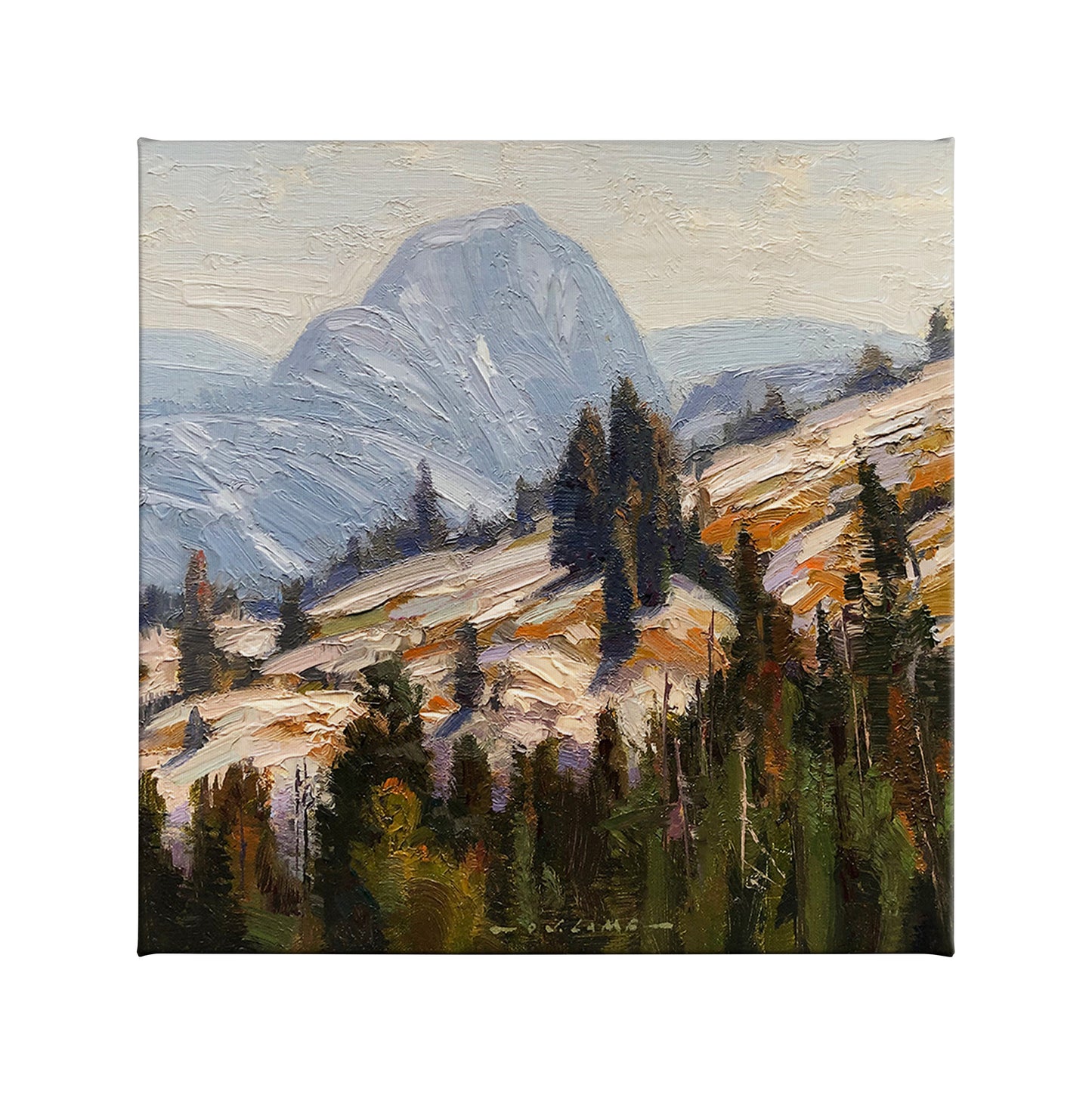 Backdoor to Yosemite - Half Dome - 14" x 14" Gallery Wrapped Canvas