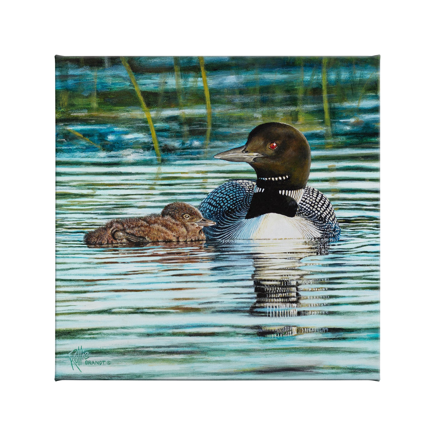 154590_Swmming Lessons _14x14_F_CGW.jpg